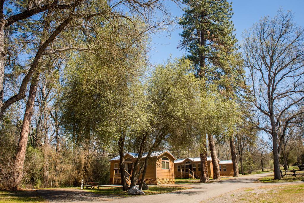 Sierra Meadows Ahwahnee