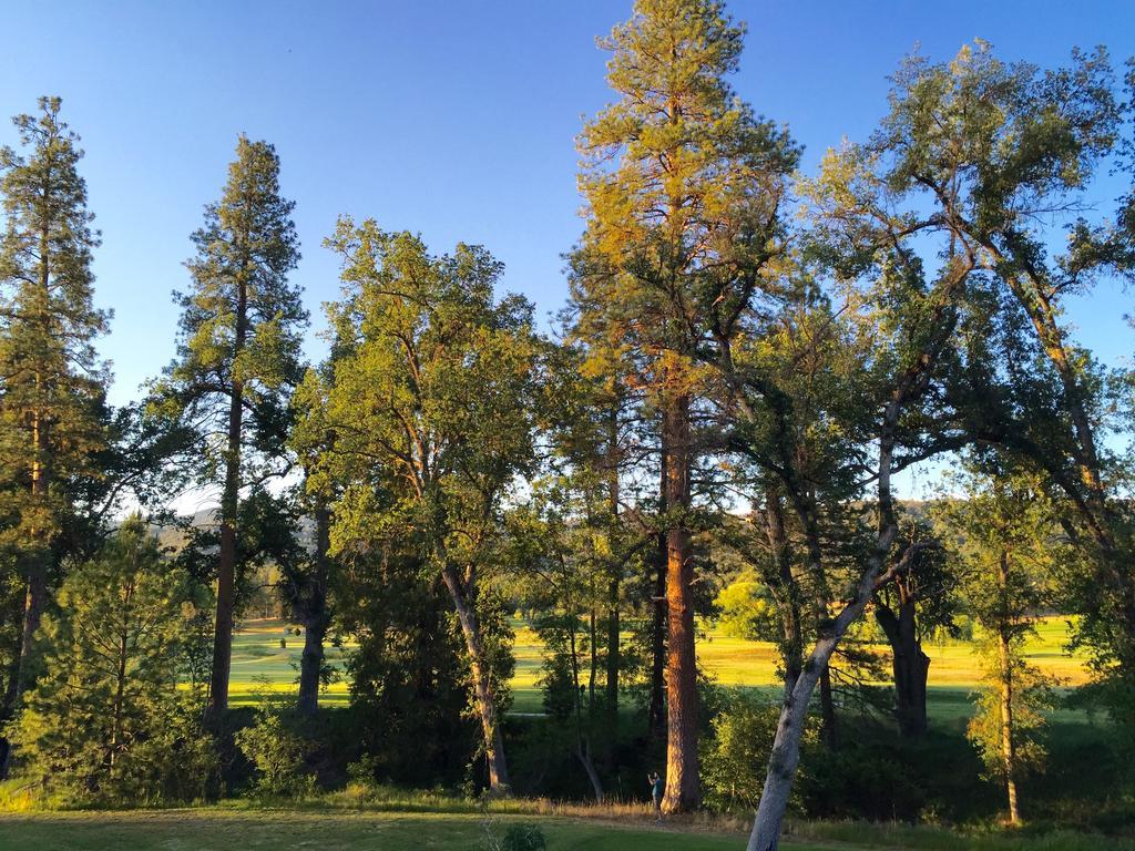 Parque de vacaciones Sierra Meadows Ahwahnee